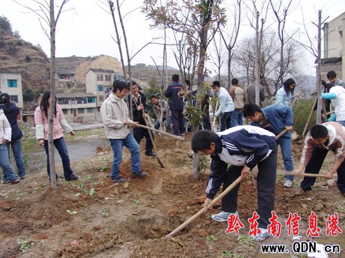 ��ɽ���нM��ֲ�����֣��ж�ĸУ���D��