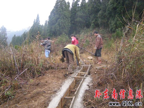 岑鞏陽春三月鬧春忙 “四輪驅動”助春耕備耕