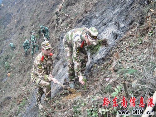 黔東南消防積極參加義務植樹造林美化第二故鄉