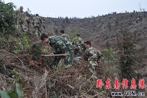 黔東南消防積極參加義務植樹造林美化第二故鄉