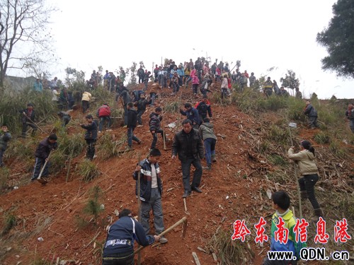 �����hȫ���_չȫ���x��ֲ���ӣ��D��