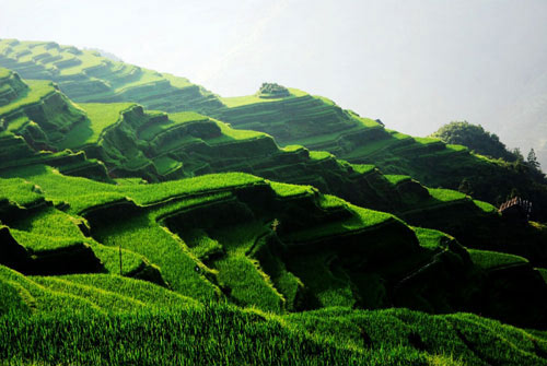 從江加榜梯田、小黃、占里行箋