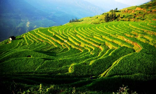 從江加榜梯田、小黃、占里行箋