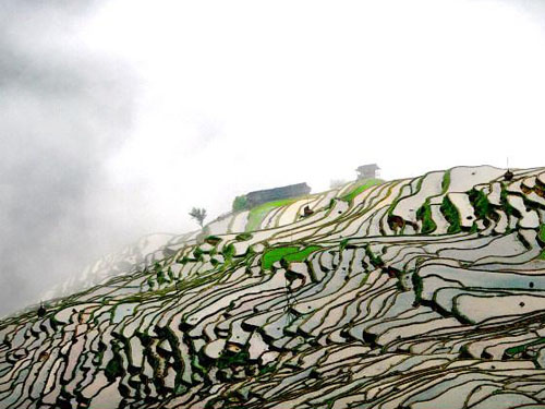 �Ľ��Ӱ����С�S��ռ���й{