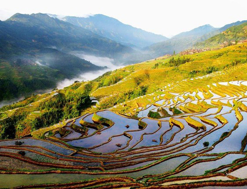 �Ľ��Ӱ����С�S��ռ���й{