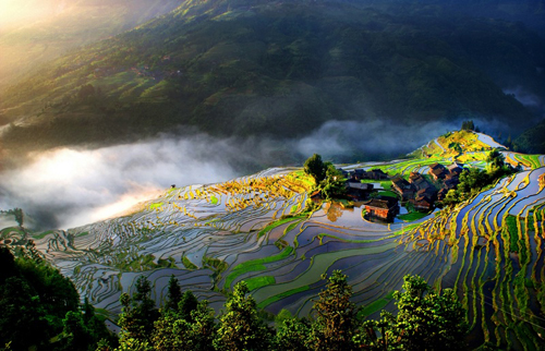 �Ľ��Ӱ����С�S��ռ���й{