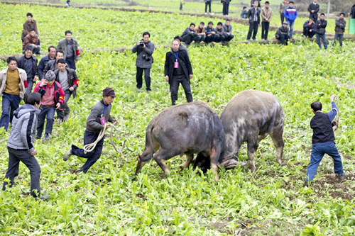 ʩ���h�e�k��������J�ϕ����M�D��