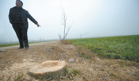 �c���M����һ�