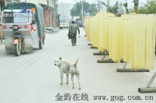 記者實地探訪:麻江下司面條好吃 衛生堪憂