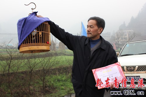 ��ǭ߅�綱��ͬ���g���F�ݡ�������עϪ�繝��