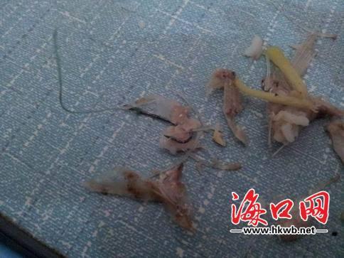 ���ڲ��^�òͳԳ��~�^ �������C���ϰ���J