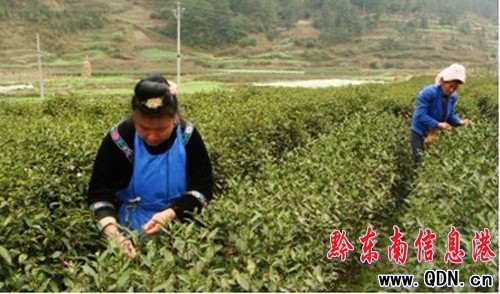 ��ɽ��벢�e ���Fȫ�h�������a���_�T�t��