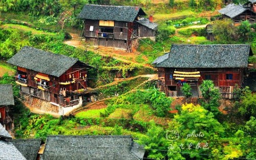 ͽ��ǭ�|�� ������կ���������Դ���M�D��