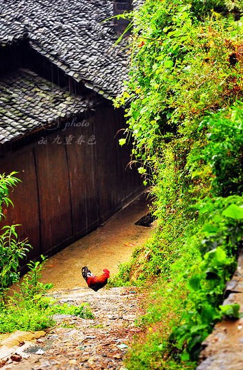 ͽ��ǭ�|�� ������կ���������Դ���M�D��