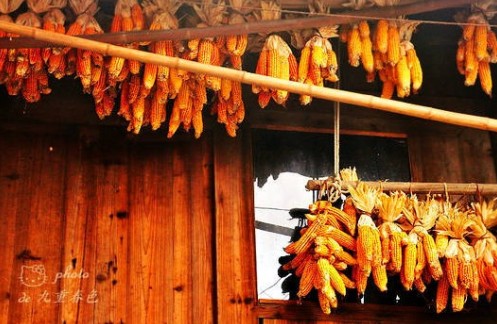 ͽ��ǭ�|�� ������կ���������Դ���M�D��