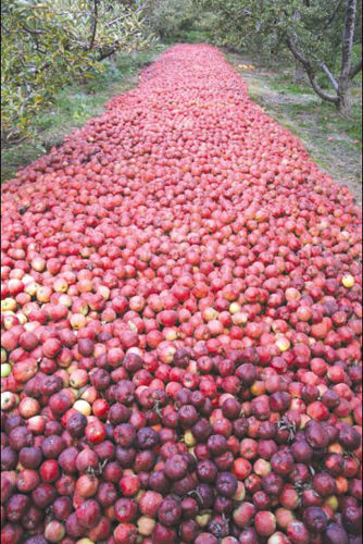 �S�յ������O��