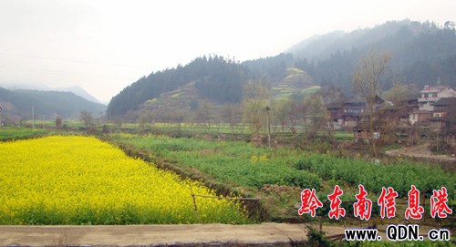 ��һ������������@�������ܲ���?���D��