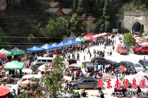 ������������ ���f�ο͘������_ɽ���D��