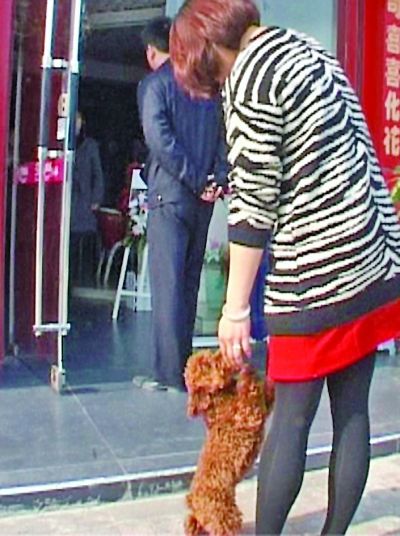 �ɼ��˞頎����Ȯ�������H���b����