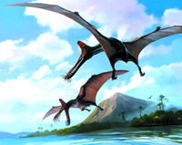 �Ї��|���l�F�����·N���C�ֹ������Բ��~����