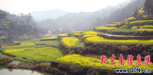 �\���h�����佭�����կ�c��@�������M�D��