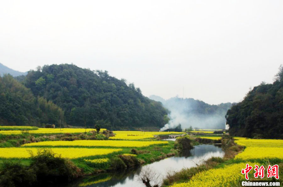 “最美鄉村”婺源:正是一年最美時