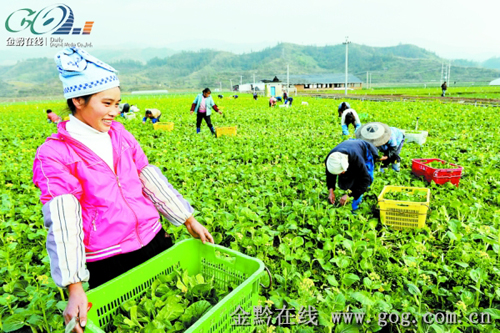 ��(sh��)��(xi��)��17�f(w��n)ƽ���������ϵ��������(�M�D)