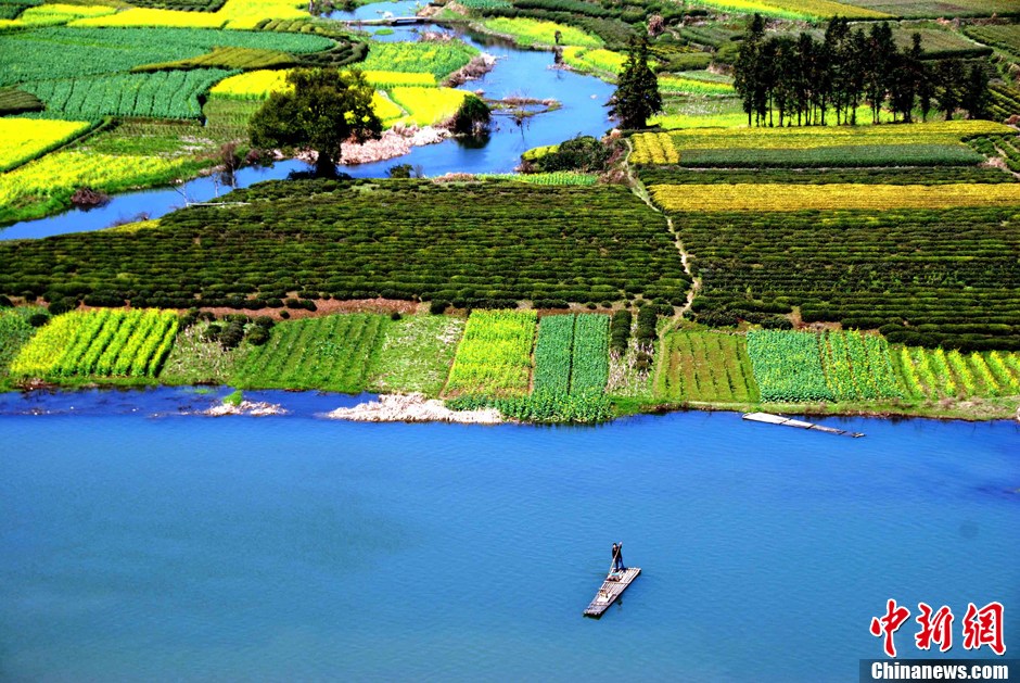 我和春天有個約會——國內賞花勝地TOP10