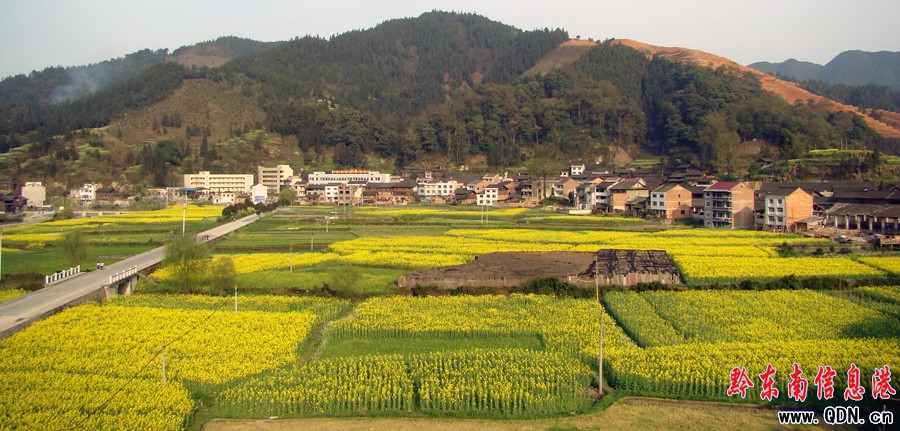 �\��ԭ���B����������