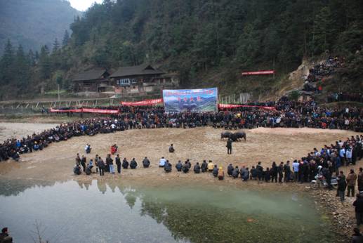 著名畫家戴順智日記三則:我去黔東南看斗牛