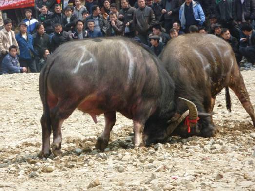 �������Ҵ������ӛ���t����ȥǭ�|�Ͽ���ţ