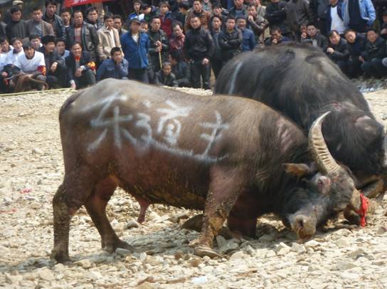 �������Ҵ������ӛ���t����ȥǭ�|�Ͽ���ţ