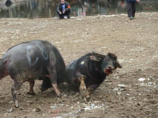 �������Ҵ������ӛ���t����ȥǭ�|�Ͽ���ţ