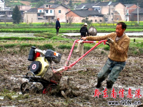 �얿h�r��ץ��r���[���������M�D��