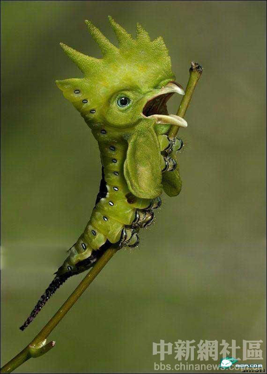 進錯洞房,后果很嚴重