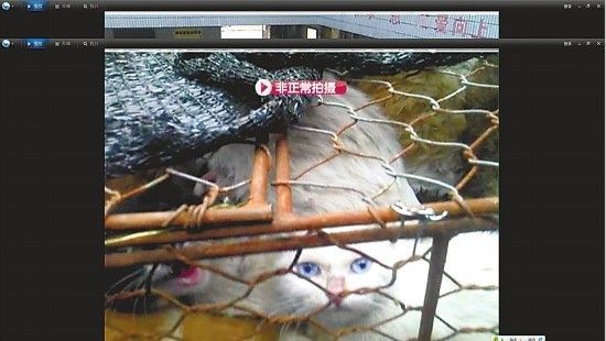 �����ҕ�_���^��β���D��