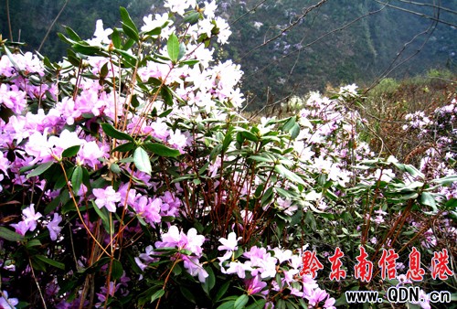 �얾��ȬF10�����ǻ��������^���M�D��