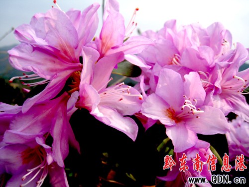 �얾��ȬF10�����ǻ��������^���M�D��