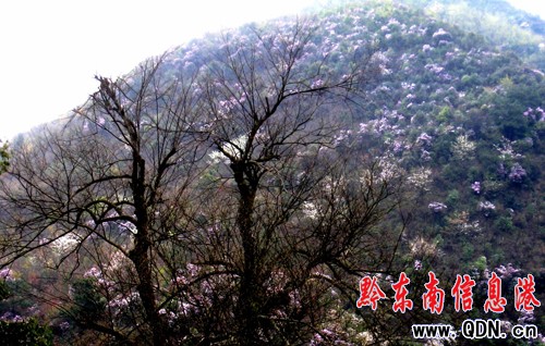 �얾��ȬF10�����ǻ��������^���M�D��