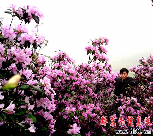 �얾��ȬF10�����ǻ��������^���M�D��