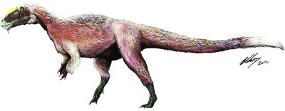 �҇��l�F�����w�����Ď���ë������ʯ