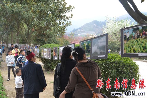 2012�F��������ù������zӰ��Ʒչ�e��