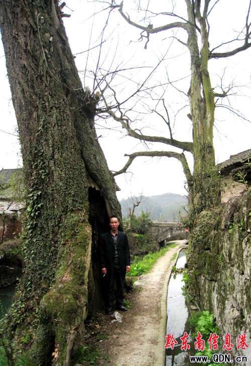 �oկ���ǧ��� ��ɽ�yɽ���������M�D��