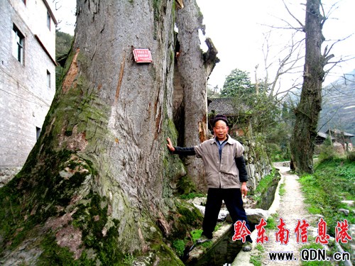 �oկ���ǧ��� ��ɽ�yɽ���������M�D��