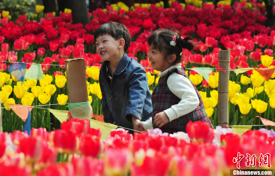 22萬株郁金香五彩繽紛亮相江西九江