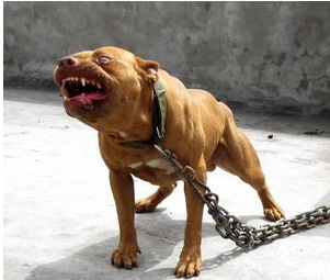 �����l���Bҧ4�� ����Ŷ�Ȯ�C��