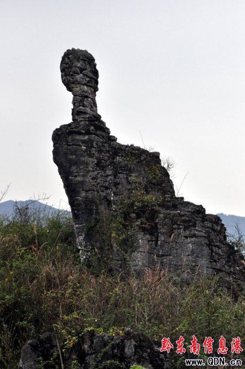 �Sƽ�������l�F��ǧ�����ͪ���ʯ�֣��M�D��