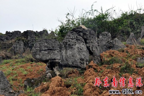 �Sƽ�������l(f��)�F(xi��n)��ǧ�����ͪ�(d��)��ʯ�֣��M�D��