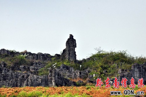 �Sƽ�������l�F��ǧ�����ͪ���ʯ�֣��M�D��