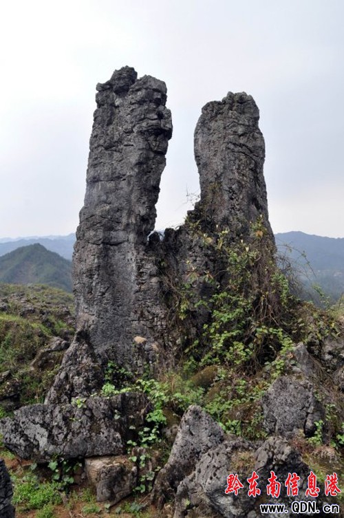 �Sƽ�������l(f��)�F(xi��n)��ǧ�����ͪ�(d��)��ʯ�֣��M�D��